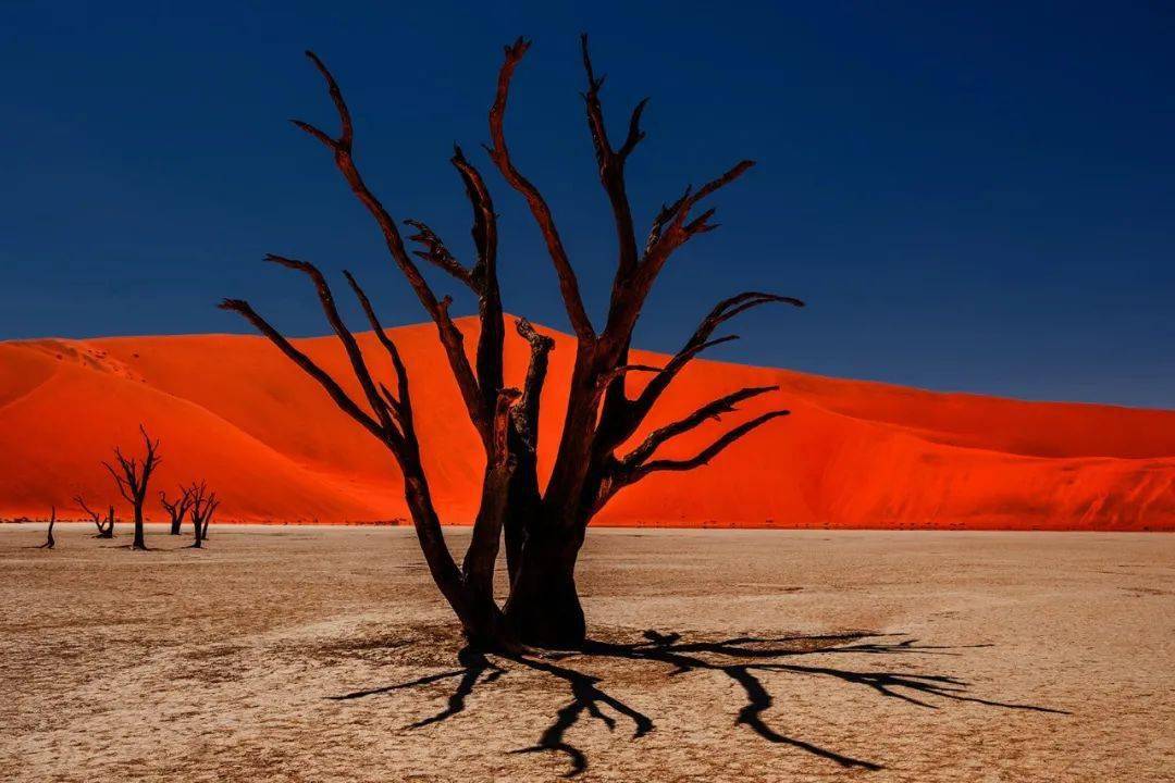 蒂姆赛事官方发布大胜新规，澳大利亚队争议不断！的简单介绍